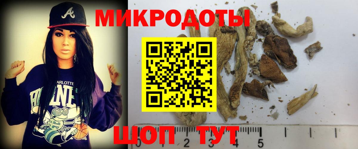 Псилоцибиновые грибы Cubensis Тельмана