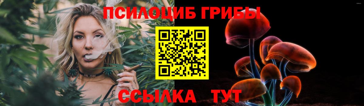 Галлюциногенные грибы Psilocybe  Вход с VPN  Тельмана 